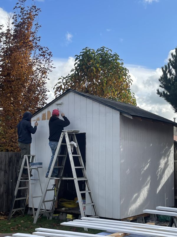 Crew on ladders fitting siding to the shed